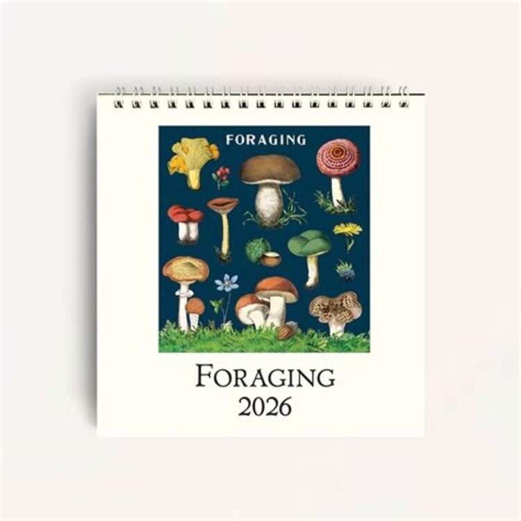 Cavallini & Co. 2026 Desk Calendar - Foraging