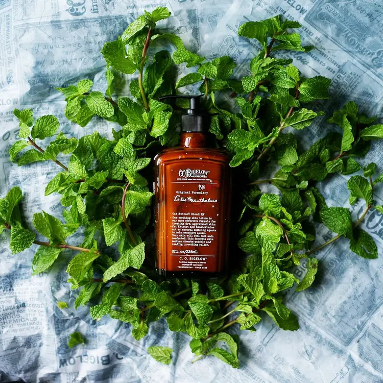 Bigelow Trading Co. Lotio Mentholus No. 002