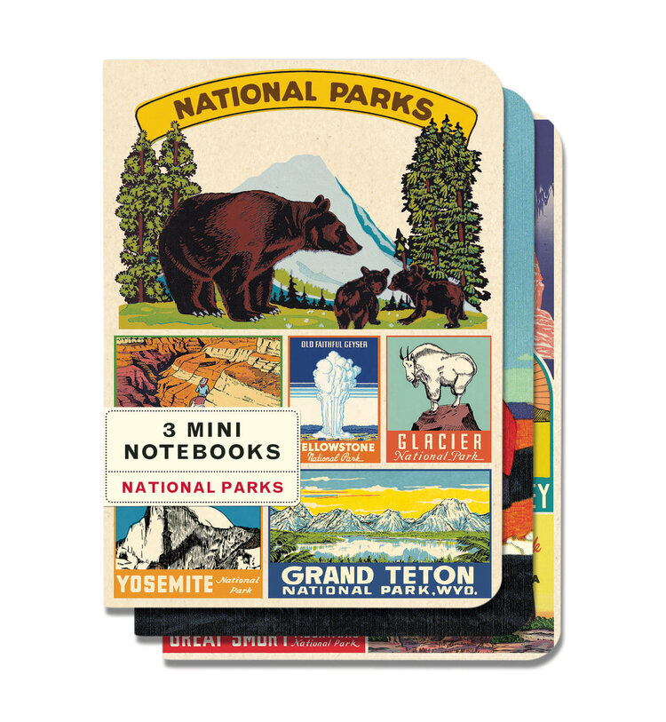 Cavallini & Co. National Parks Large Notebook