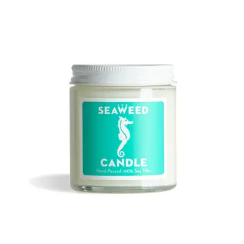 Swedish Dream Seaweed Candle Cutie