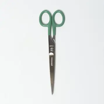 Sweet Bella Stainless Steel Scissors / Green - Large