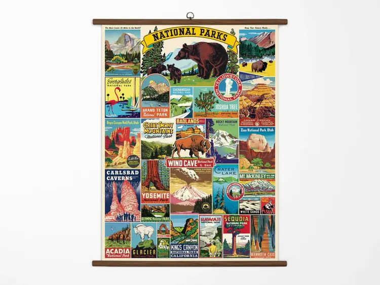 Cavallini & Co. National Parks Vintage School Chart