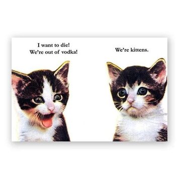 Mincing Mockingbird Vodka Kittens Magnet