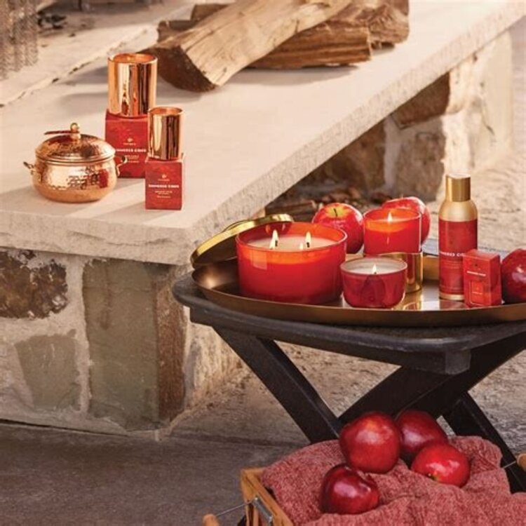 Thymes Simmered Cider Candle Tin with Gold Lid