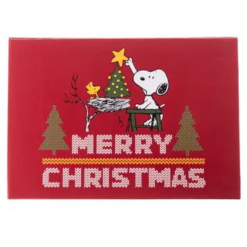 Graphique Peanuts Stitched Boxed Cards