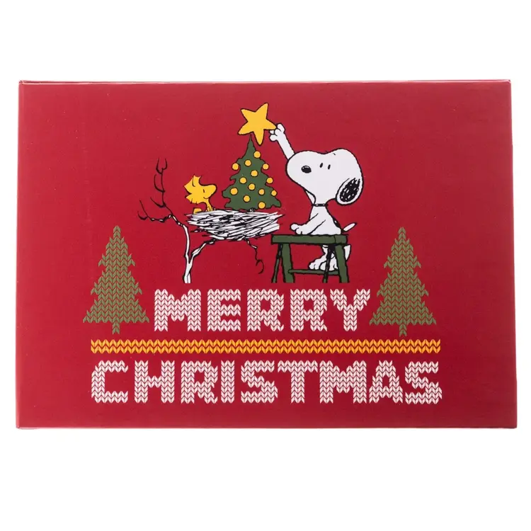 Graphique Peanuts Stitched Boxed Cards