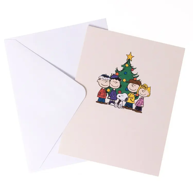Graphique Peanuts Gang Boxed Cards