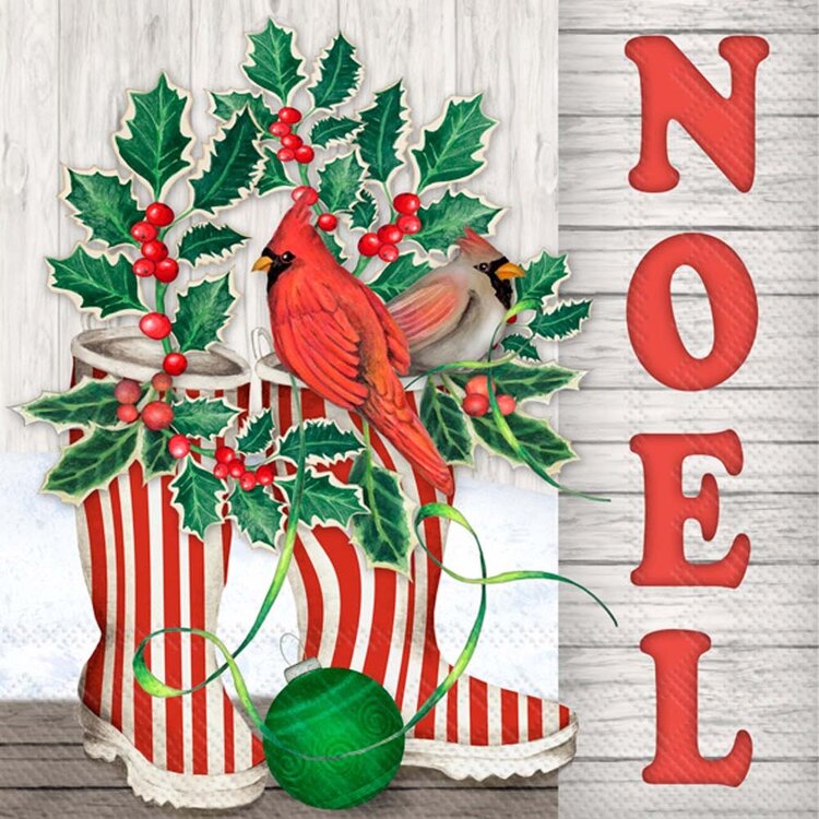 Boston International Cocktail Napkins / Cardinal Noel