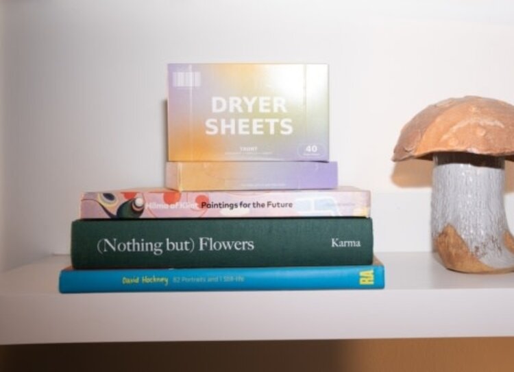 Taunt Dryer Sheets