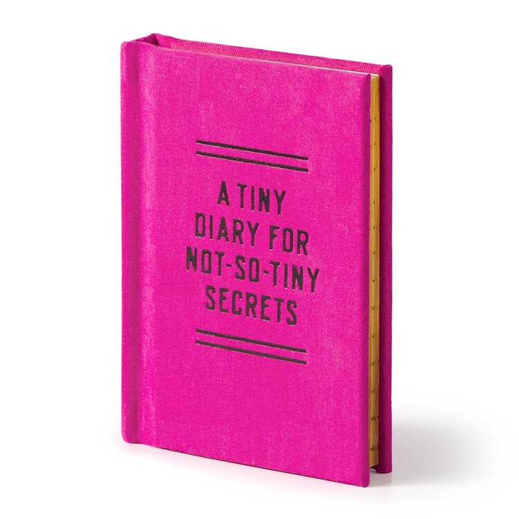 Chronicle Books Tiny Diary For Not So Tiny Secrets