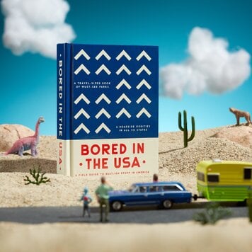Chronicle Books Bored In The USA