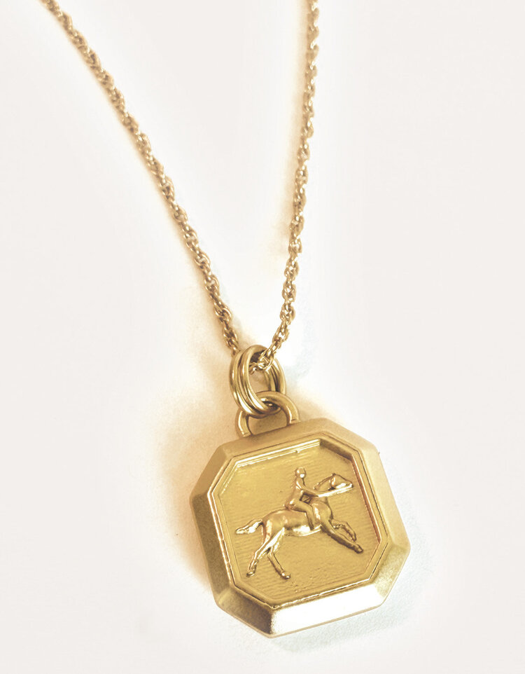 Here Fishy Necklace 20" Gold
