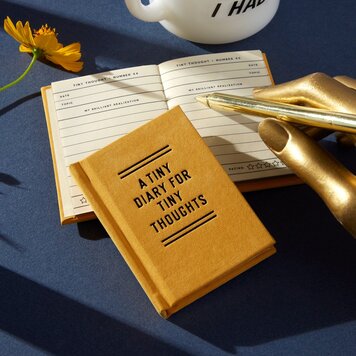 Chronicle Books Tiny Diary For Tiny Thoughts