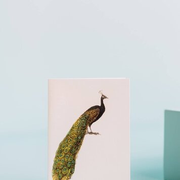 Margot Elena Margot Elena Card - Peacock
