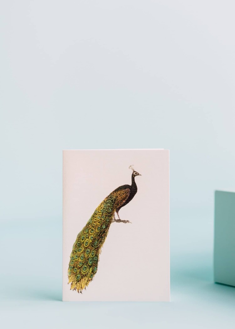 Margot Elena Margot Elena Card - Peacock