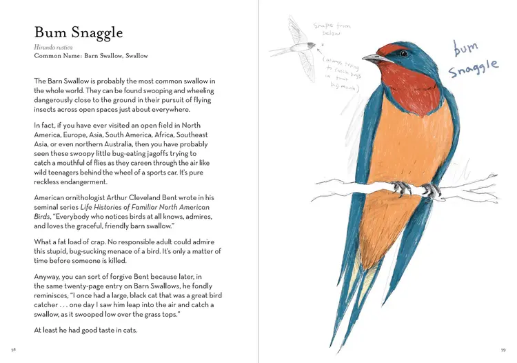 Chronicle Books Dumb Birds Field Guide to the Worst Birds Ever