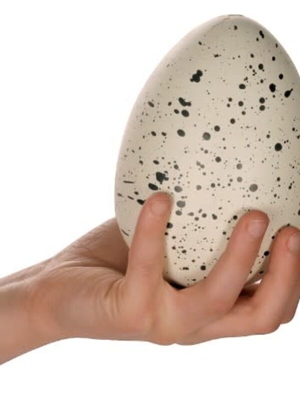 GINORMOUS GROW DINO EGG