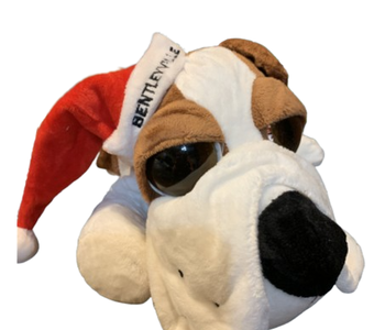 DOG PLUSH