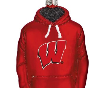 WISCONSIN HOODIE