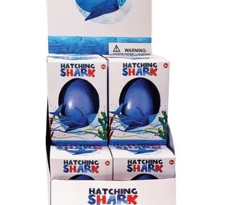 GIANT Hatching Shark