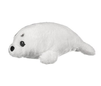 Harp Seal Pup