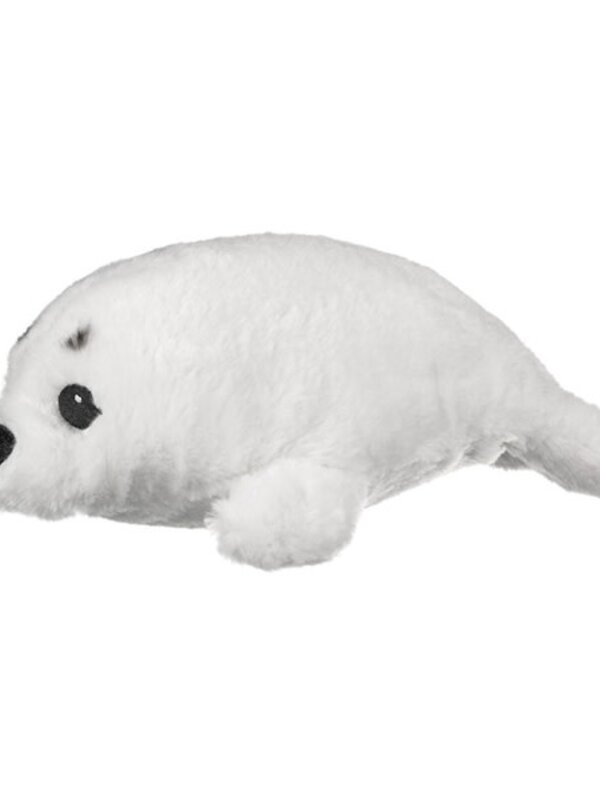 Harp Seal Pup