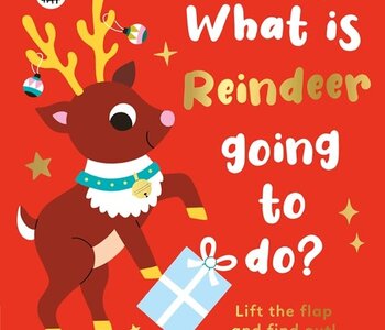 What is Reindeer Going to do?