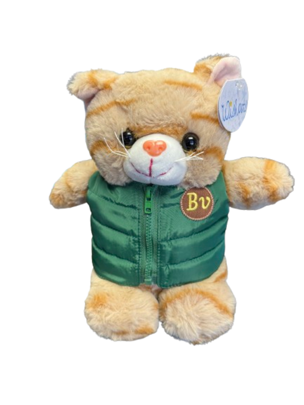 8" Chubby Cat w/vest