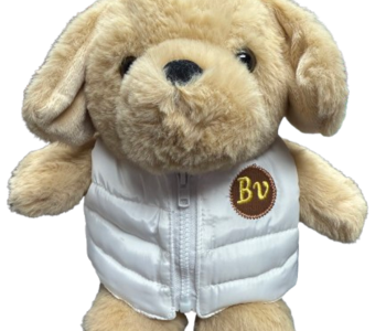 8" Chubby Dog w/vest