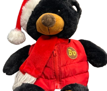 8" Black Bear w/scarf and vest