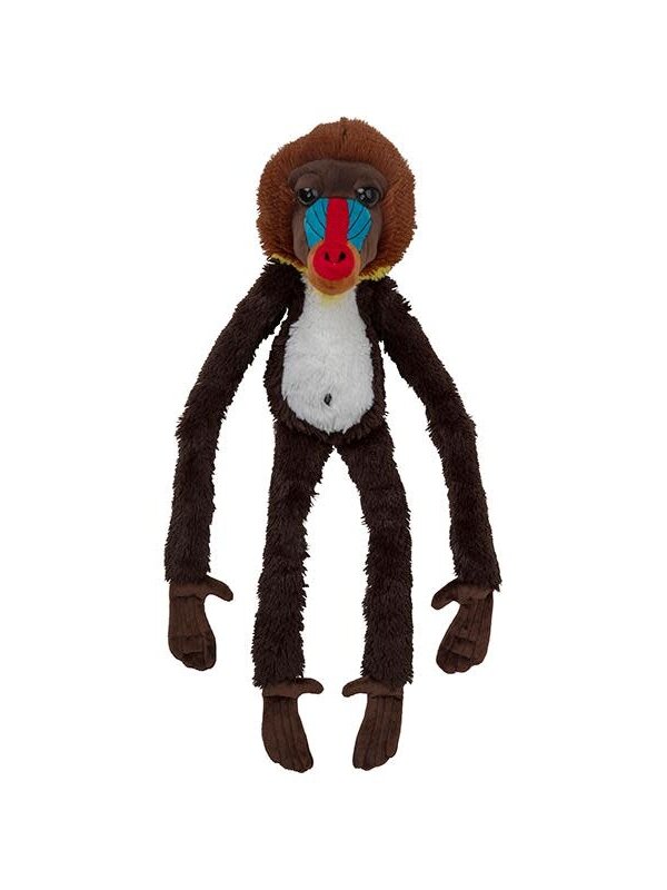 24" Funkyland Mandrill