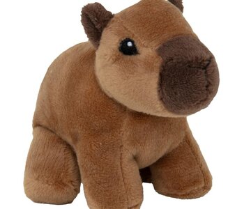 Wild Beans Capybara