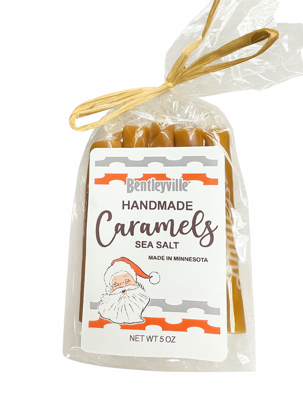 10 piece gift Bag - Annie B's Caramel - Sea Salt Caramel