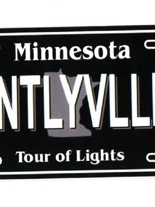 LICENSE PLATE STICKER