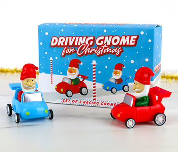 Driving Gnome for Christmas