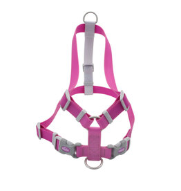 Coastal Pro Waterproof Harness Purple Medium