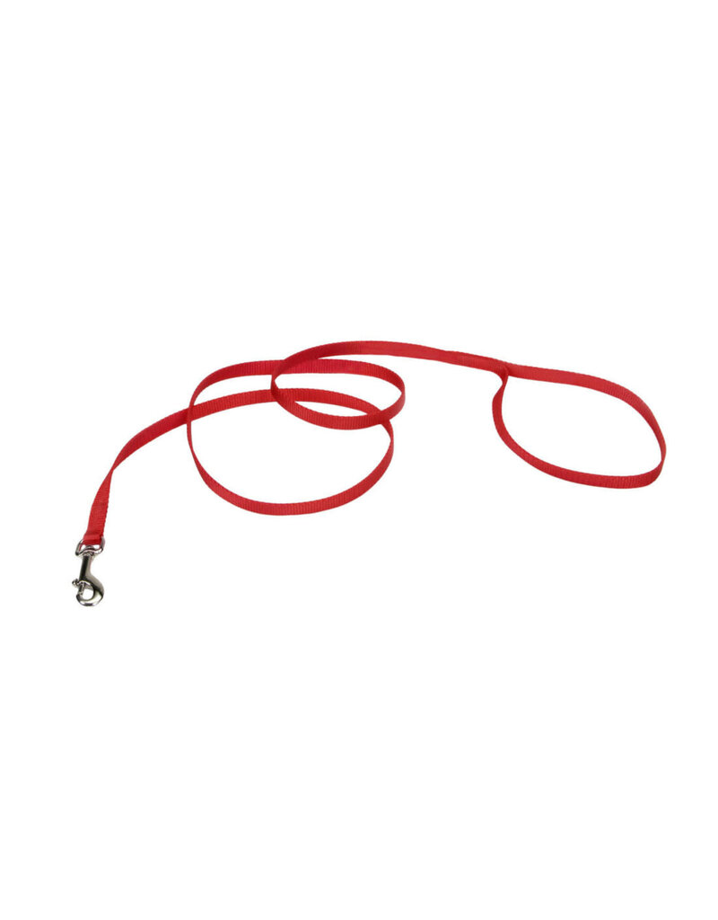 Coastal Pet Coastal Single Ply Dog Leash Red 6' 00406