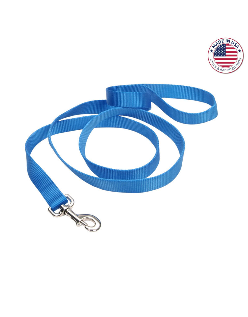 Coastal Single-Ply Dog Leash Blue Lagoon