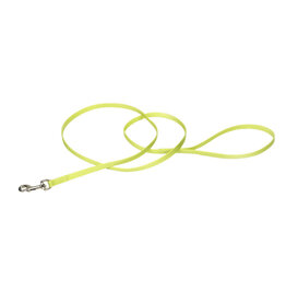 Coastal Pet Coastal Single Ply Nylon Leash Lime 6Ft  00306