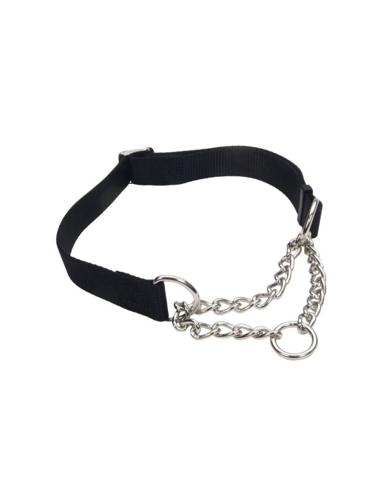 Coastal Pet Coastal Check-Choke Adjustable Check Training Dog Collar Black 17-24" L  06910
