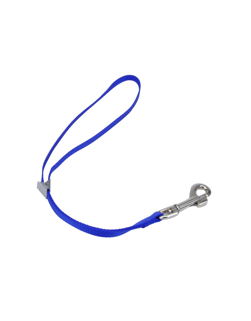 Coastal Pet Coastal Pet Groom Dog Loop Blue 18"  00318