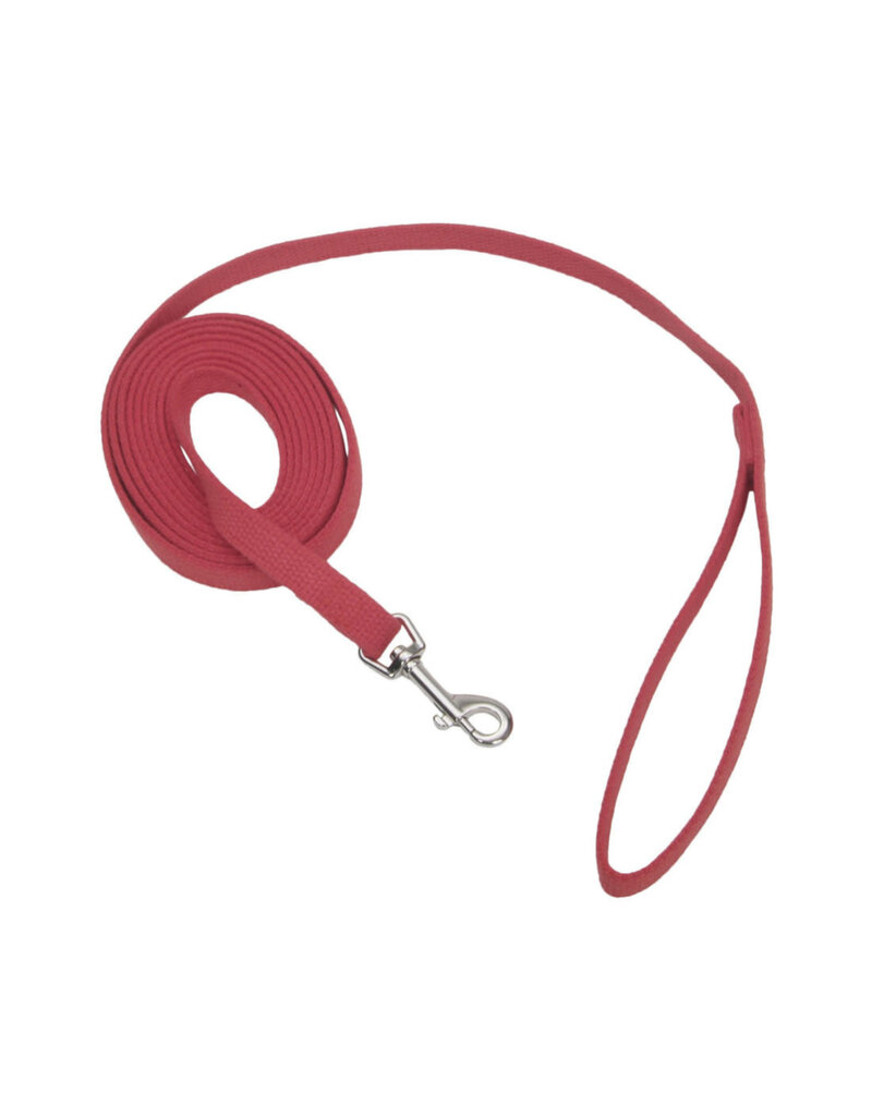 Coastal Pet Coastal Pet Products Train Right! Training Leash Red 6 Foot 00506