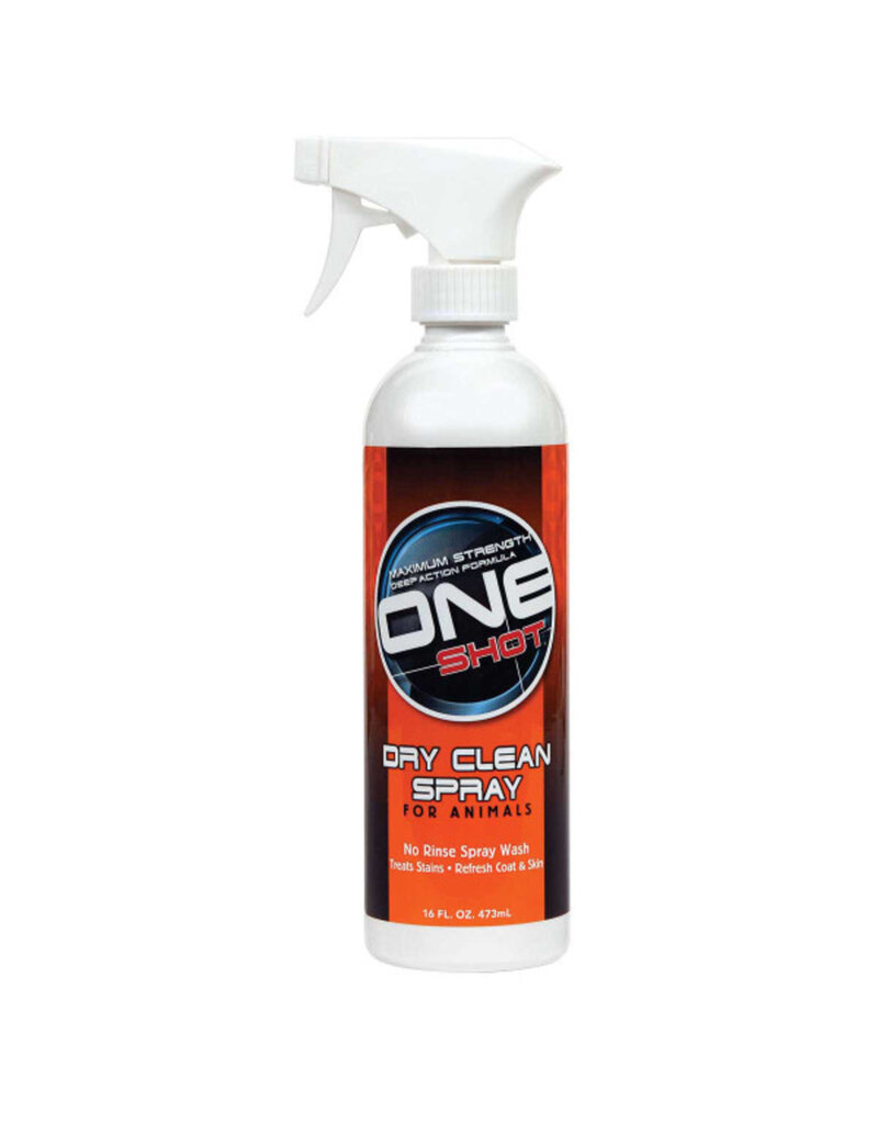 Best Shot Best Shot Dry Clean Spray 16fl oz