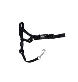 Coastal Pet Coastal Walk'n Train Head Halter X-Small