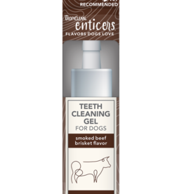 Tropiclean TropiClean Enticers Teeth Cleaning Gel Smoked Beef Brisket Flavor 2fl oz.