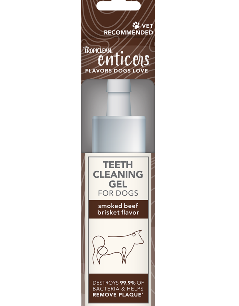 Tropiclean TropiClean Enticers Teeth Cleaning Gel Smoked Beef Brisket Flavor 2fl oz.