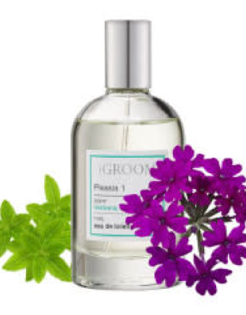 Igroom IGroom Perfume Pleasia 1 100 ml