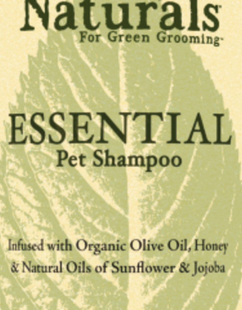 ShowSeason Showseason Essential Shampoo 16 oz