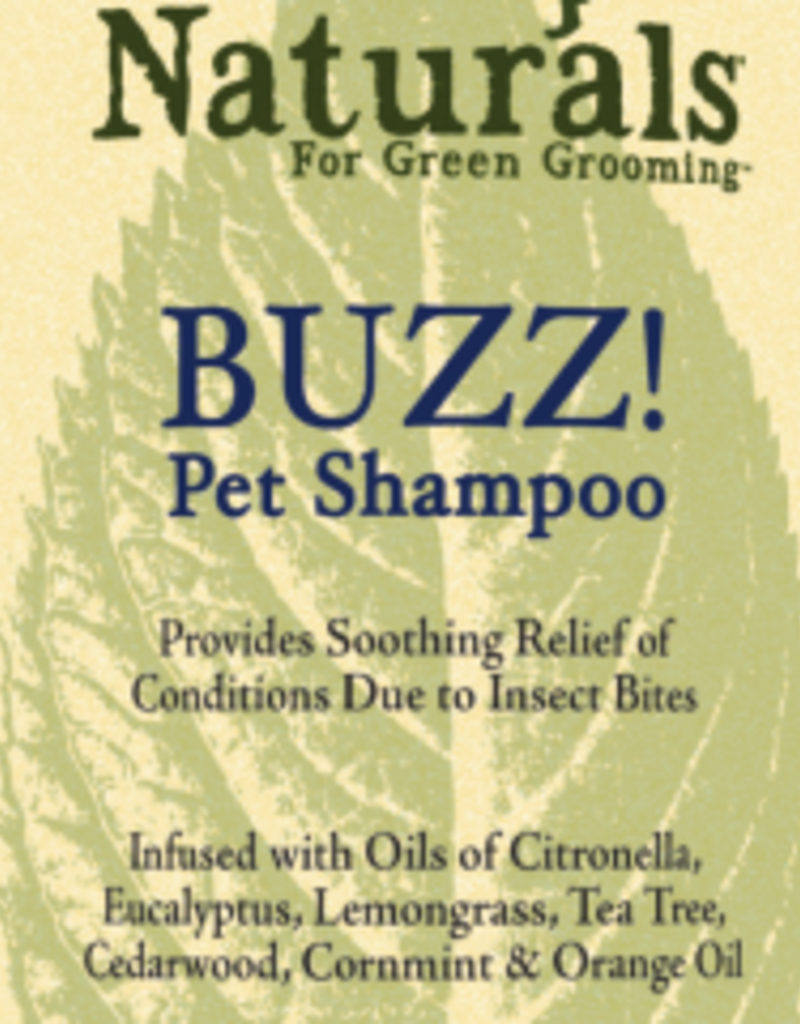 ShowSeason ShowSeason Buzz Shampoo 12 oz