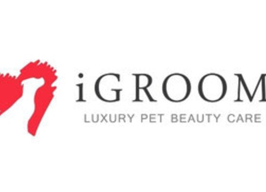 Igroom